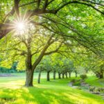 School’s Out: Syosset Summer Plans